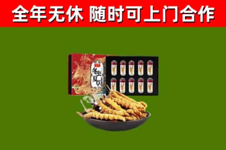 金州烟酒回收冬虫夏草礼盒.jpg